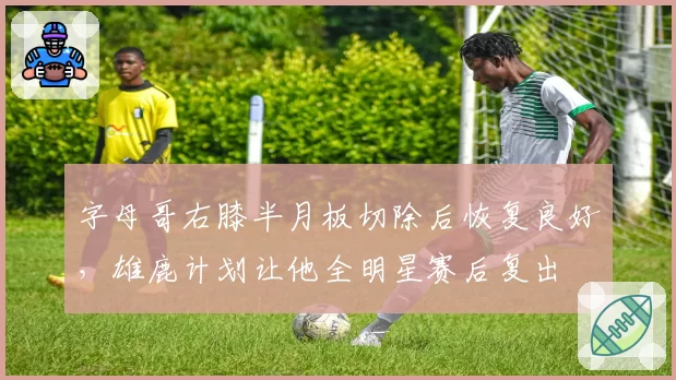 字母哥右膝半月板切除后恢复良好，雄鹿计划让他全明星赛后复出