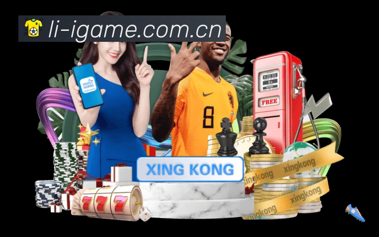 功能图2